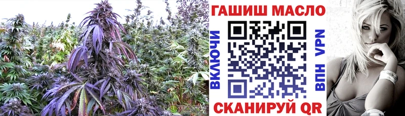 закладка  Донской  Дистиллят ТГК THC oil 