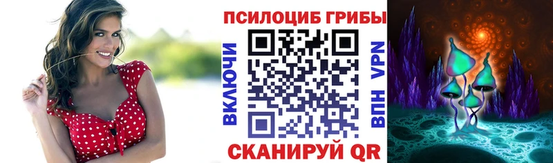Псилоцибиновые грибы MAGIC MUSHROOMS  маркетплейс телеграм  Донской 